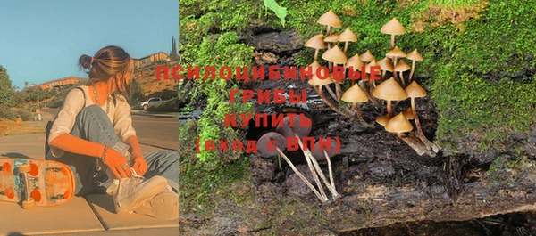 ешки Балахна