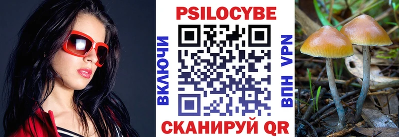 гидра онион  продажа наркотиков  Нязепетровск  Псилоцибиновые грибы прущие грибы 